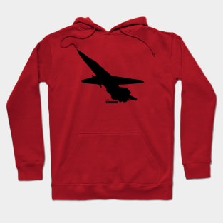 F-111 Aardvark Hoodie